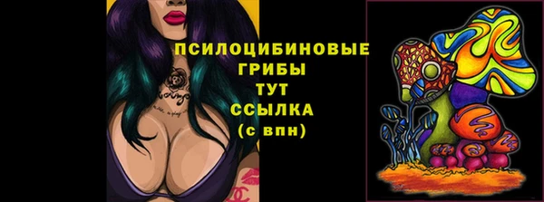 ПСИЛОЦИБИНОВЫЕ ГРИБЫ Гусиноозёрск