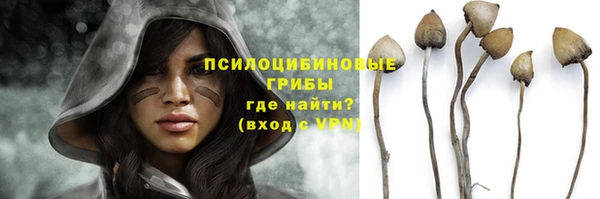 ПСИЛОЦИБИНОВЫЕ ГРИБЫ Гусиноозёрск
