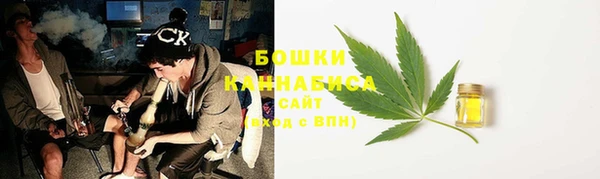 ПСИЛОЦИБИНОВЫЕ ГРИБЫ Гусиноозёрск
