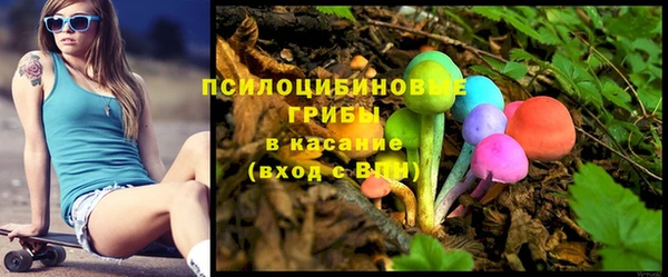 ПСИЛОЦИБИНОВЫЕ ГРИБЫ Навашино