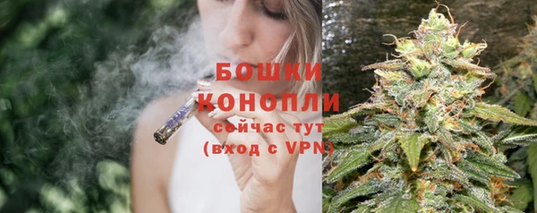 ПСИЛОЦИБИНОВЫЕ ГРИБЫ Гусиноозёрск