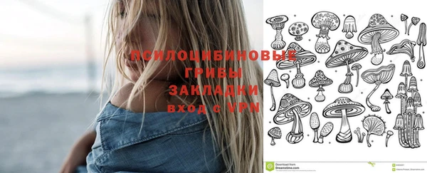 синтетический гашиш Гусь-Хрустальный