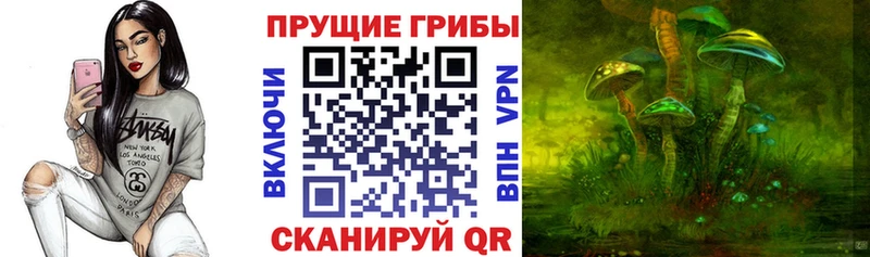 Галлюциногенные грибы Psilocybe  где купить наркоту  Омутнинск 